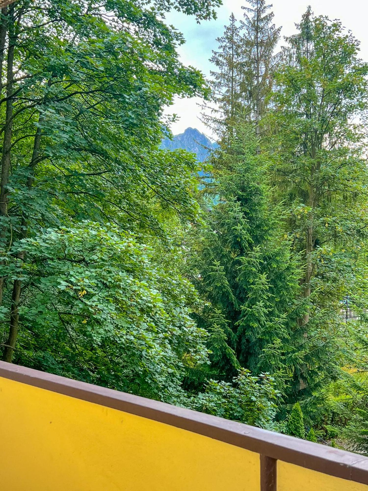 Apartment Sniezna Lapa Zakopane