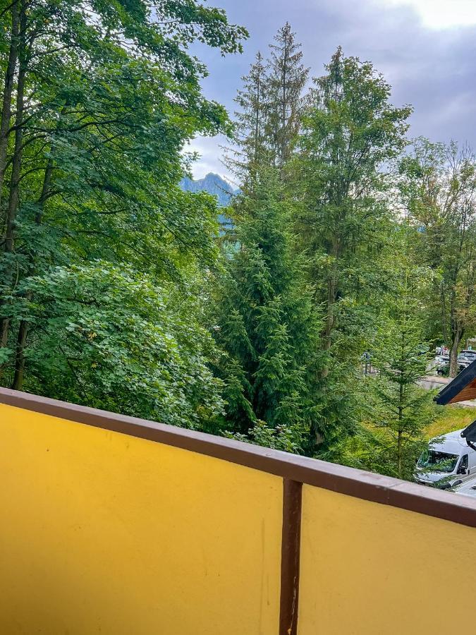 Sniezna Lapa Apartament *